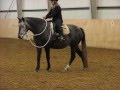 My first ride on Milva