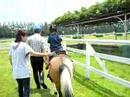 乗馬初体験