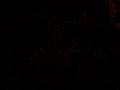 justin videos 009.MOV