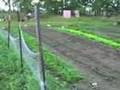 WTW: Small Solutions for Enormous Problems