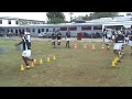 Treino de Pliometria