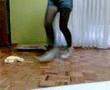 Romiina Beleen,Intennta bailar eleqqtro (?