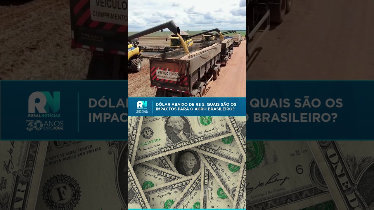 Dólar abaixo de R$ 5: quais são os impactos para o agro brasileiro?