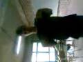 videos de Video002.3gp