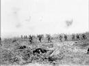 World War 1 (The Futility Of War)