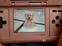 How to get your nintendog to do a handstand!