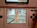 How to get your nintendog to do a handstand!