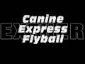 Canine Express Flyball Open 1:YouTube������=106��