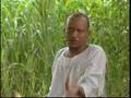 Sudani Song غنيه سودانيه استهبال هههههههه روعه
