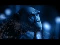 Tree of Life video HD