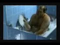 batwashing