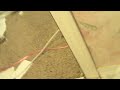 CLIP0008.AVI
