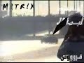 Saudi Drifting cars