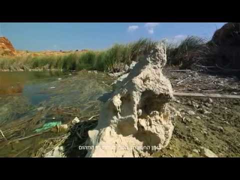 רון דרור-טריילר לסרט דוקומנטרי קצר בגוון סוריאליסטי רון דרור-טריילר לסרט דוקומנטרי קצר בגוון סוריאליסטי
