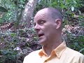 Medicines from the Forest with Dr. Anders Hedberg