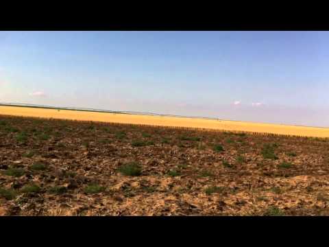160 acres Sublette, KS