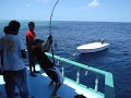 Dogtooth Tuna Fishing In Maldives Part4