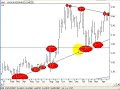 Australain stock Market-EXT,MGX,AVO,FMG,