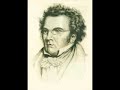 Neville Marriner conducts Schubert Symphony No. 2 in B-flat Major, D. 125 - 4  Presto