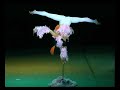 hand balancing