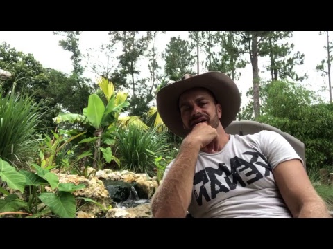 YouTube reptile video