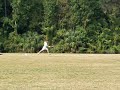 UF Punter