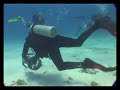 Bophut Diving School Koh Samui Thailand Bophut Diving School Koh Samui Thailand