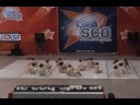Open dance SCO 241108
