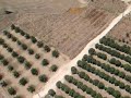 R/C Air Model - Aerial Photography