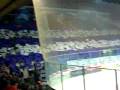 videos de HC Ambri-Piotta vs. HC Lugano Choreo