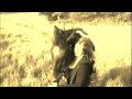 Beirut Guyamas Sonora Horse