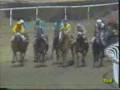1986 (32) HANDICAP OPCIONAL (1.ª C.) (DONAYRE)