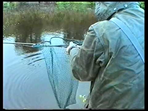 how to properly net a salmon