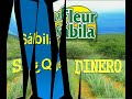 todo sobre la sabila o aloe vera la fleur de la sabila