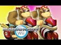 Mario Kart Wii - Troy and Sagar - 2v2 - (Dual Perspective/ Skype Call) #1