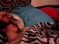 savanna sleeping SEX