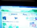 Webkinz-Photo-Contes