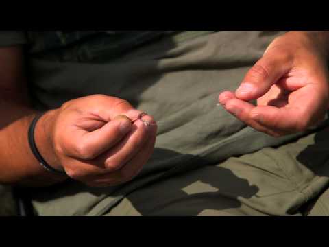 XL Carp Video