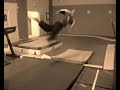 JL  Acrobatie teaser v2 http://onde2choc.stunt.free.fr