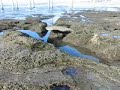 Rocky Area of Ocean Beach, San Diego