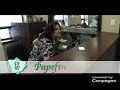PapeFinch Dental - (416)469-2320