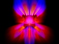 Workshop - Pheonix rising