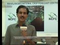 NATIONAL CROP FORECAST CENTRE, STORY-ARVIND KUMAR SINGH,RSTV .avi