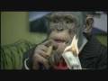 videos de Bank UBS.WMV