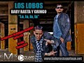 Videos Musicales de Baby Rasta & Gringo