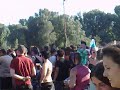 DPH- Punk Island 08