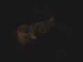 ted nugits creamy nugget - Frankenfoot