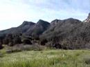 \"Wild Oats in the Reavis Gap\" \"Wild Oats in the Reavis Gap\"