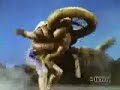 Red Dragon Thunderzords Staff Attack Red Dragon Thunderzords Staff Attack