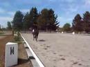 Tessa - A, enter at bolt, halt in judge\